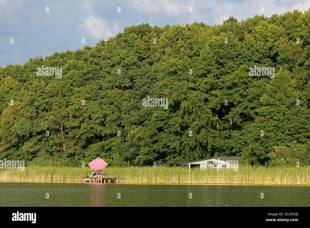 Sonnenschirm, Ferienhaus, Leppiner See, Rechlin, Mecklenburgische Seen, Mecklenburg-Vorpommern, Deutschland Stockfoto