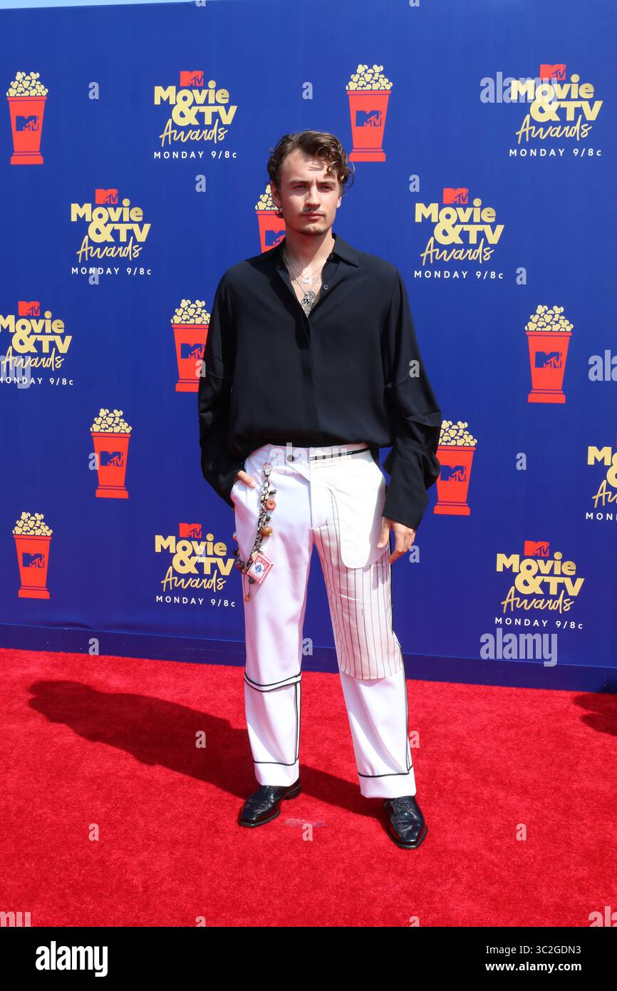 Juni 15, 2019 - Santa Monica, CA, USA - LOS ANGELES - 15.Juni: Brandon Thomas Lee im 2019 MTV Movie & TV Auszeichnungen bei den Barker Hangar am 15. Juni 2019 in Santa Monica, CA (Credit Bild: © Kay Blake/ZUMA Draht) Stockfoto
