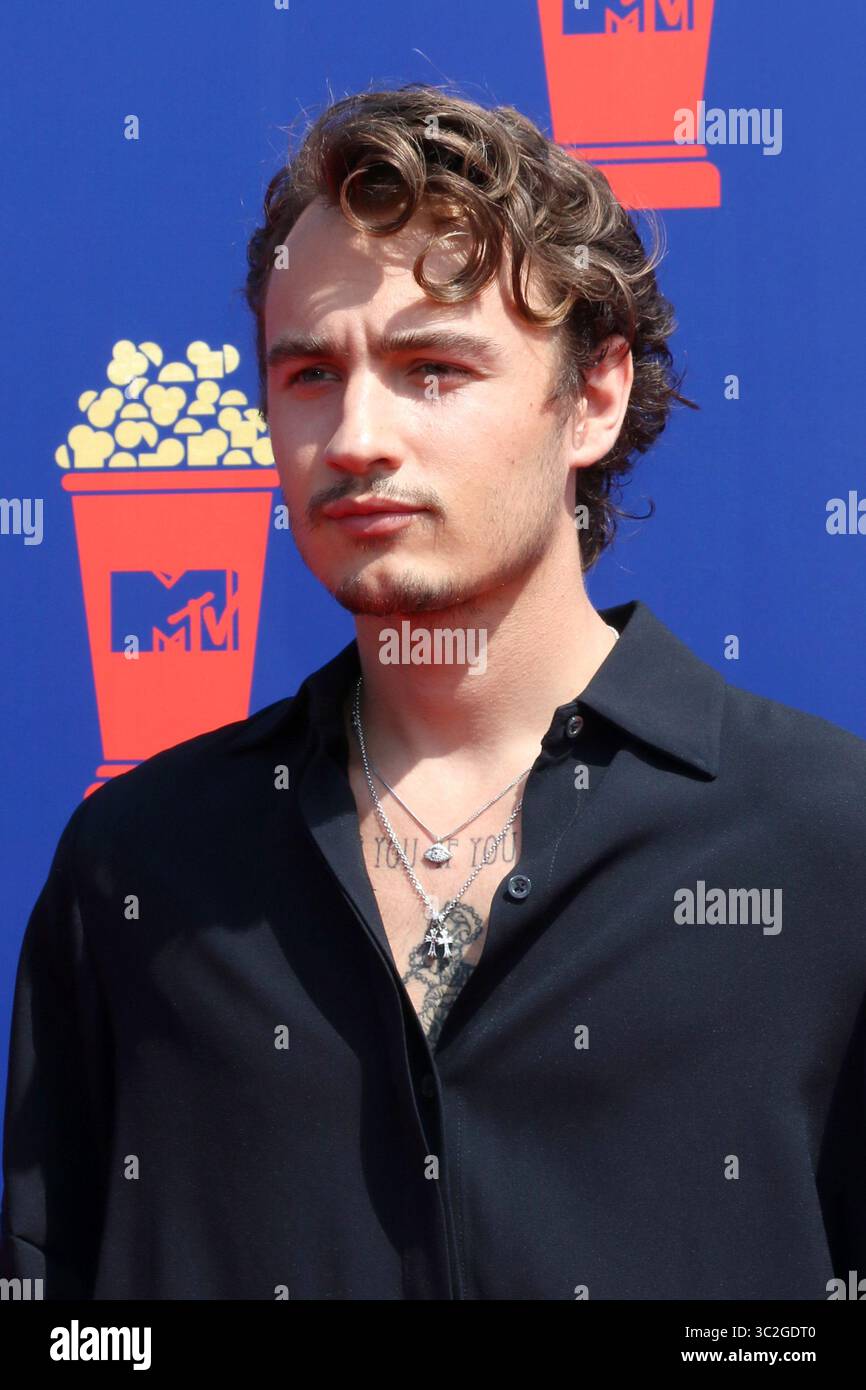 Juni 15, 2019 - Santa Monica, CA, USA - LOS ANGELES - 15.Juni: Brandon Thomas Lee im 2019 MTV Movie & TV Auszeichnungen bei den Barker Hangar am 15. Juni 2019 in Santa Monica, CA (Credit Bild: © Kay Blake/ZUMA Draht) Stockfoto
