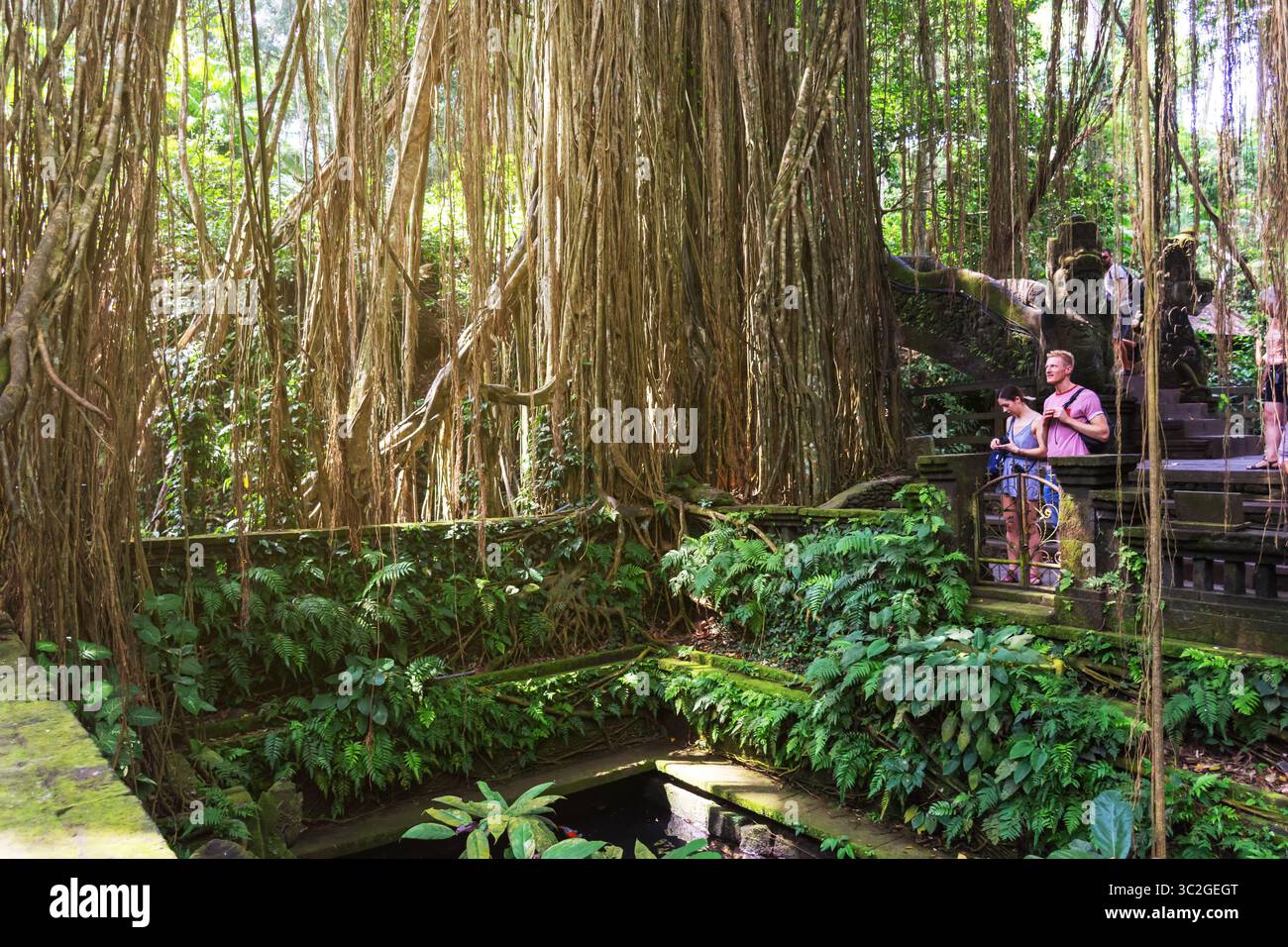 Bali, Indonesien - 17. September 2018: Tourist im Sacred Monkey Forest Sanctuary Stockfoto