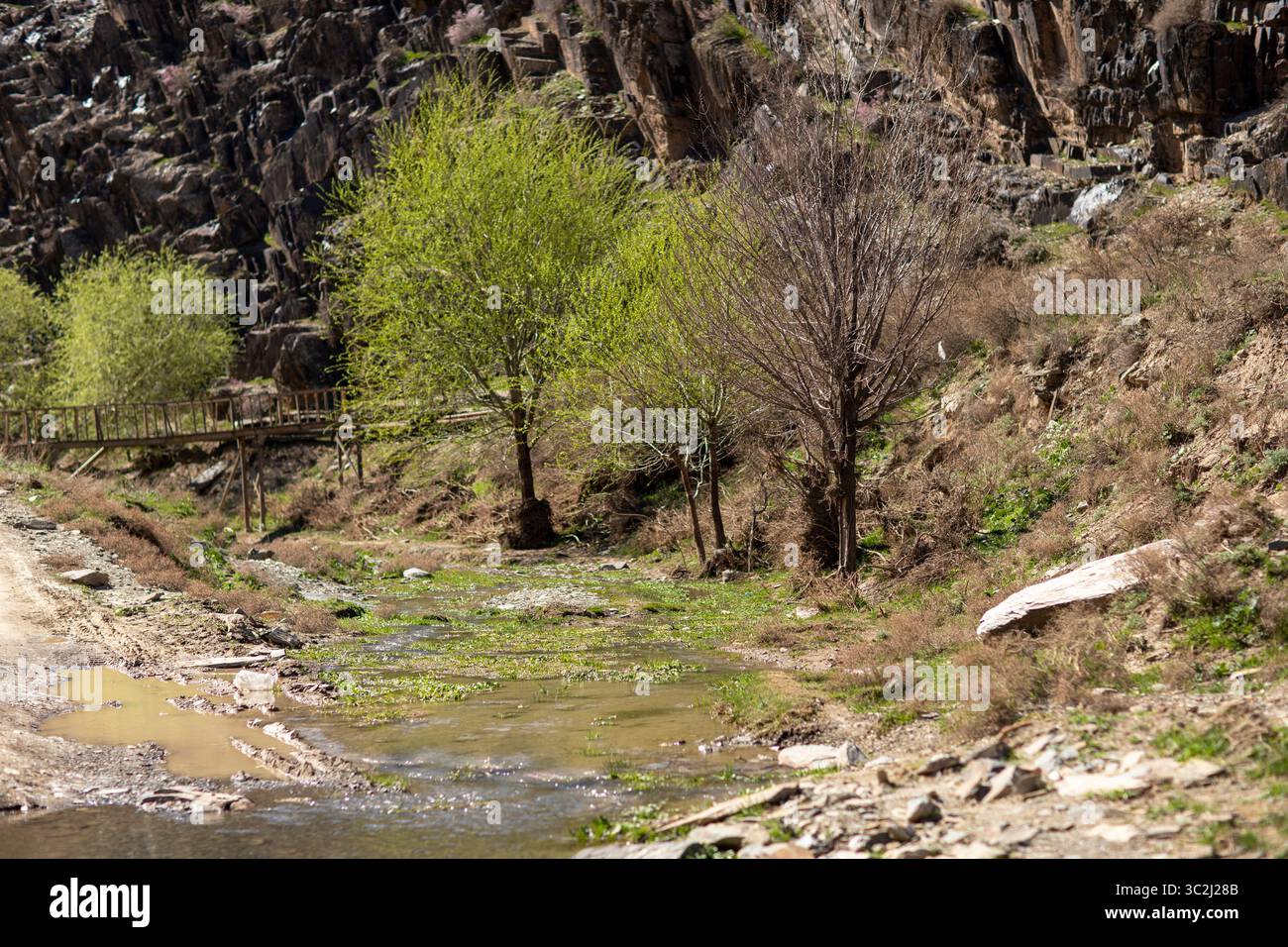 Ein breiter Bach mit wenig Wasser im Frühling. Stockfoto