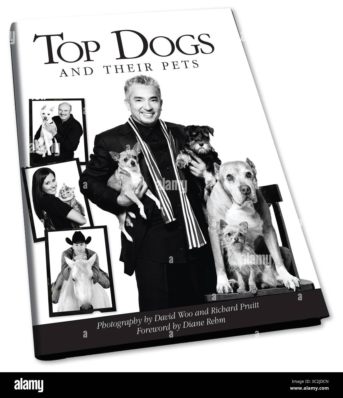 1. Januar 2009: Dallas, Texas, USA – Ein Couchtisch-Buch Top Dogs and This Pets, veröffentlicht 2009 im Pediment Publishing. Das Buch enthält Fotos von David Woo und Richard Michael Pruitt von bemerkenswerten, wichtigen Menschen aus allen Gesellschaftsschichten, einschließlich Prominenten, Entertainern, Sportfiguren und anderen Themen sowie ihren geliebten Haustieren. Der Vorspann zum Buch wurde von Diane Rehm geschrieben, die auch zu ihrem Hund Maxie gehört. Das Buch enthält spezielle Fakten über die persönlichen Beziehungen und Interaktionen der einzelnen Personen mit ihren Haustieren. (Bild: © David Woo/ZUMA Stockfoto