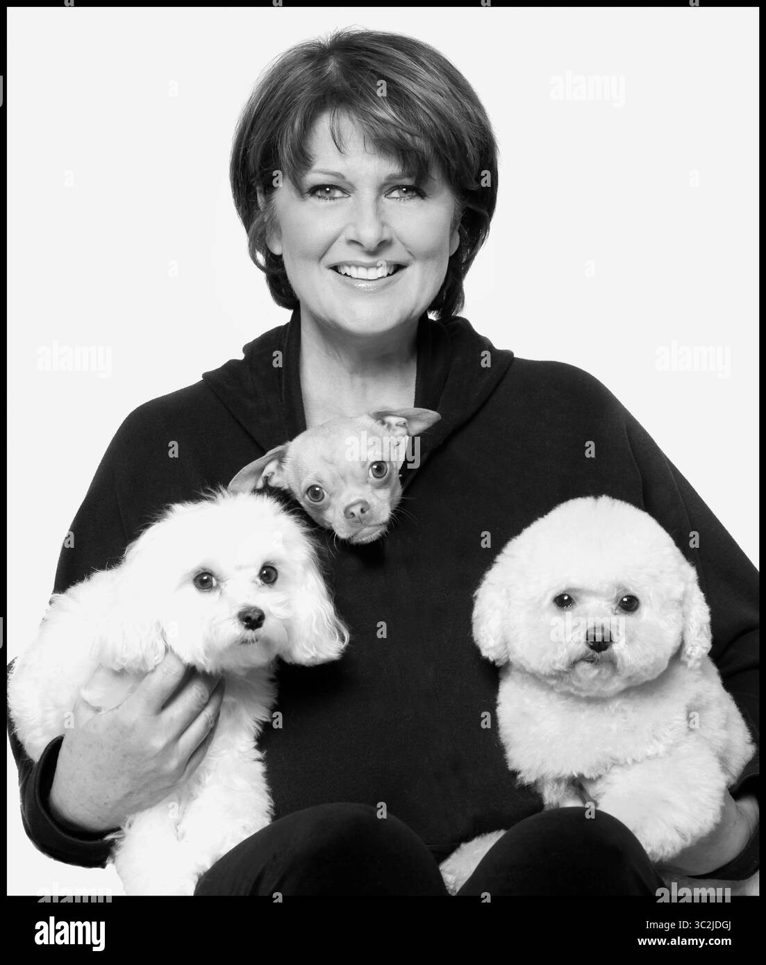 16. Februar 2009, Los Angeles, Kalifornien, USA: Talk Show Host, CHRISTINA FERRARE, Bestseller-Autorin der NY Times, posiert am 16. Februar 2009 mit ihren Hunden Cher, Axl Rose und Bella in ihrem Haus in Los Angeles, Kalifornien. Zusammen sind sie in dem Coffee Table Book „Top Dogs and their Pets“ enthalten, das 2009 veröffentlicht wurde. Das Buch enthält Fotos von David Woo von bemerkenswerten, wichtigen Menschen aus allen Gesellschaftsschichten, einschließlich Berühmtheiten, Entertainern, Sportfiguren und anderen Themen sowie ihren geliebten Haustieren. Der Vorspann zum Buch wurde von Diane Rehm geschrieben, die auch in ihrem p enthalten ist Stockfoto