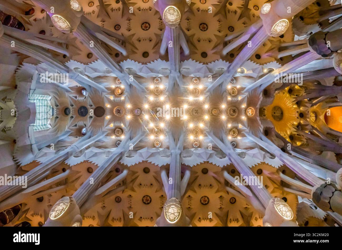 Komplizierter Blick auf die Decke und Säulen in Antoni Gaudi, Sagrada Familia. Architektonische Details, katalanische Moderne, berühmtes Wahrzeichen, Spanische Kirche I Stockfoto