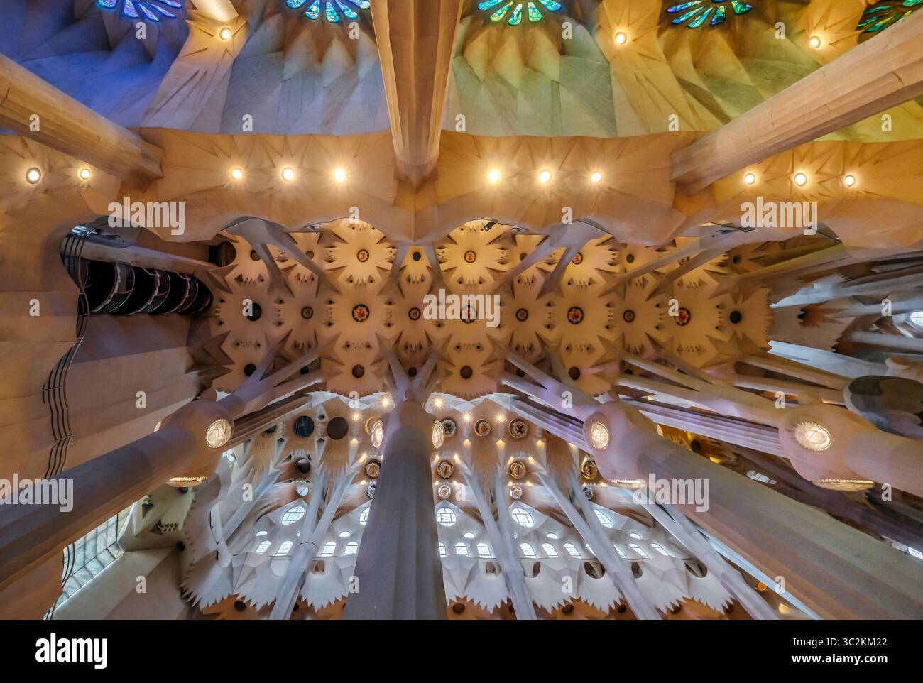 Blick nach oben auf die Decke und die Säulen in der Basilika von Antoni Gaudi Sagrada Familia in Barcelona. Kompliziertes Detail, Katalanische Moderne, Berühmtes Wahrzeichen, Stockfoto