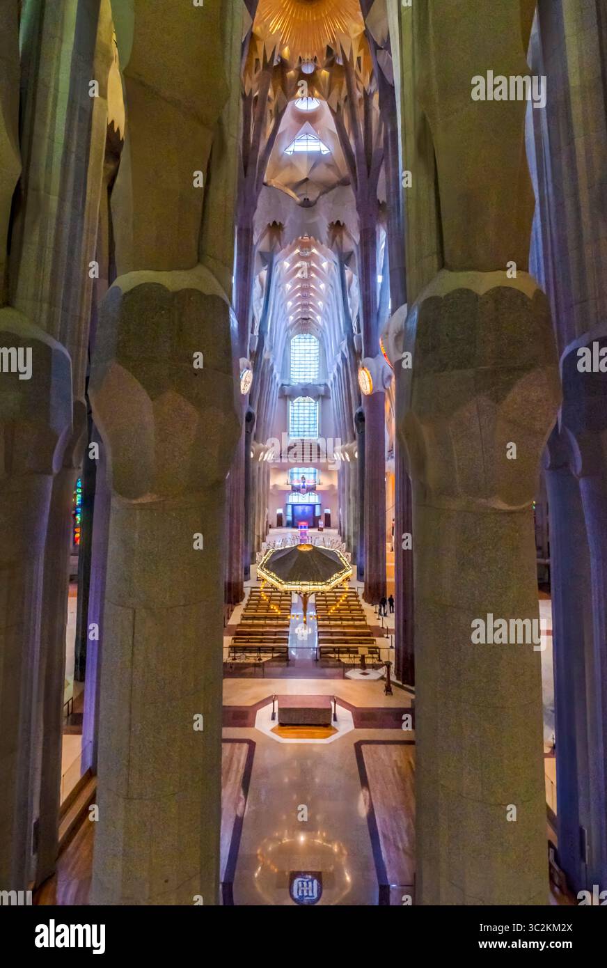Ein symmetrischer Blick auf das große Schiff in der Basilika Antoni Gaudi Sagrada Familia. Baumähnliche Säulen, architektonisches Meisterwerk, Barcelona Wahrzeichen, Relig Stockfoto