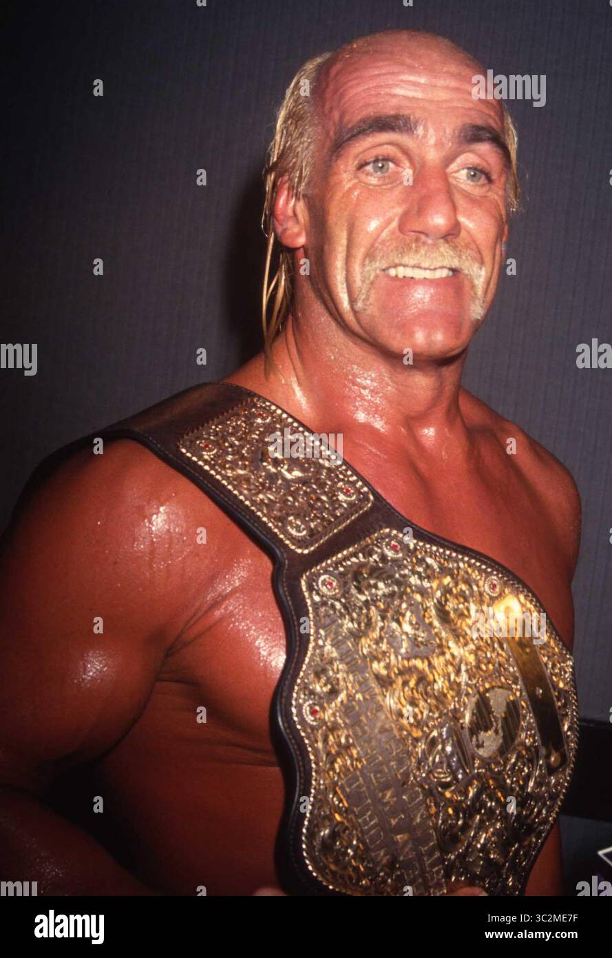 Hulk Hogan ist gestorben. 1994 Hulk Hogan Foto von John Barrett/PHOTOlink/MediaPunch Stockfoto