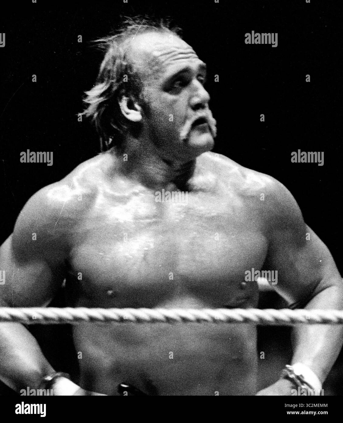 Hulk Hogan ist gestorben. Hulk Hogan 1987 Foto von John Barrett/PHOTOlink/MediaPunch Stockfoto