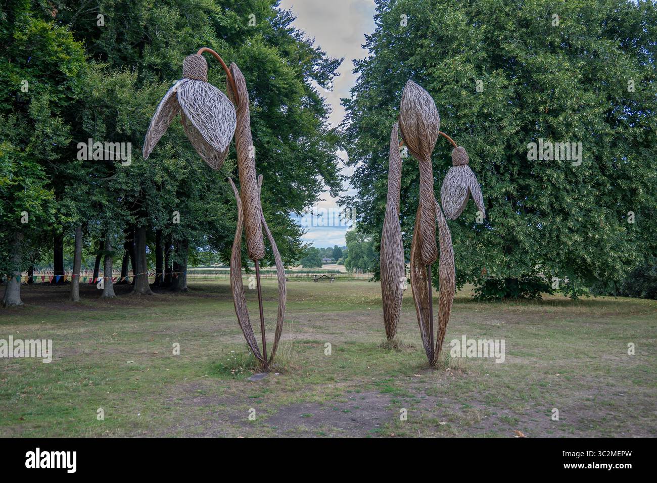 Schneeglöckchen-Skulptur im Mottisfont Hampshire England Stockfoto