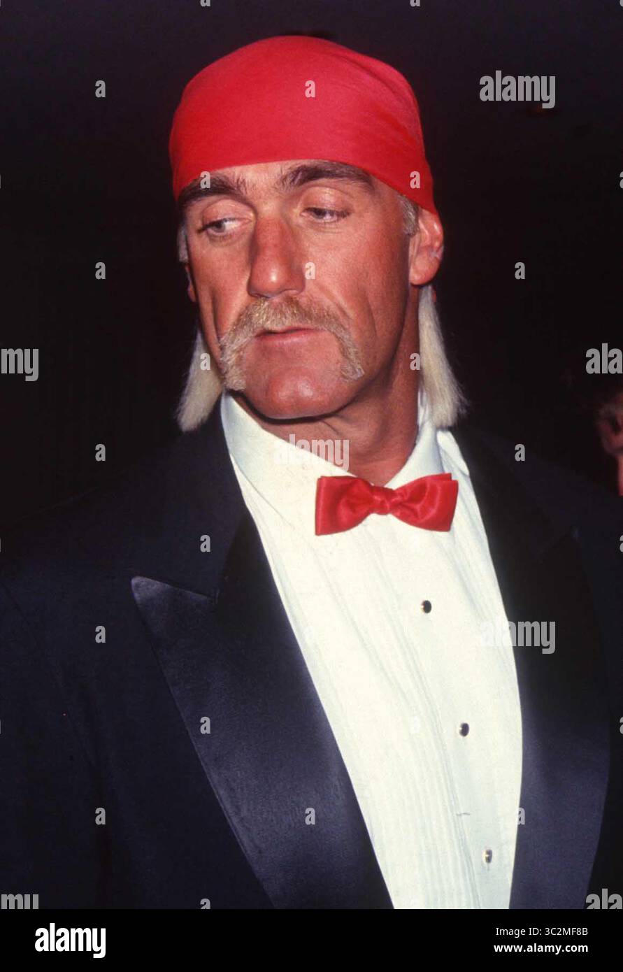 Hulk Hogan ist gestorben. 1994 Hulk Hogan Foto von John Barrett/PHOTOlink/MediaPunch Stockfoto