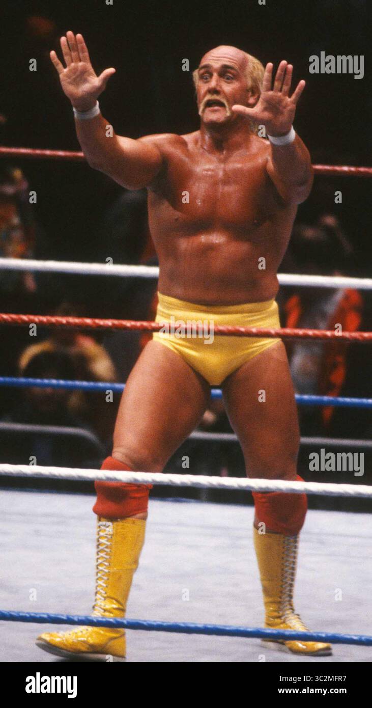 Hulk Hogan ist gestorben. 1989 Hulk Hogan Foto von John Barrett/PHOTOlink/MediaPunch Stockfoto