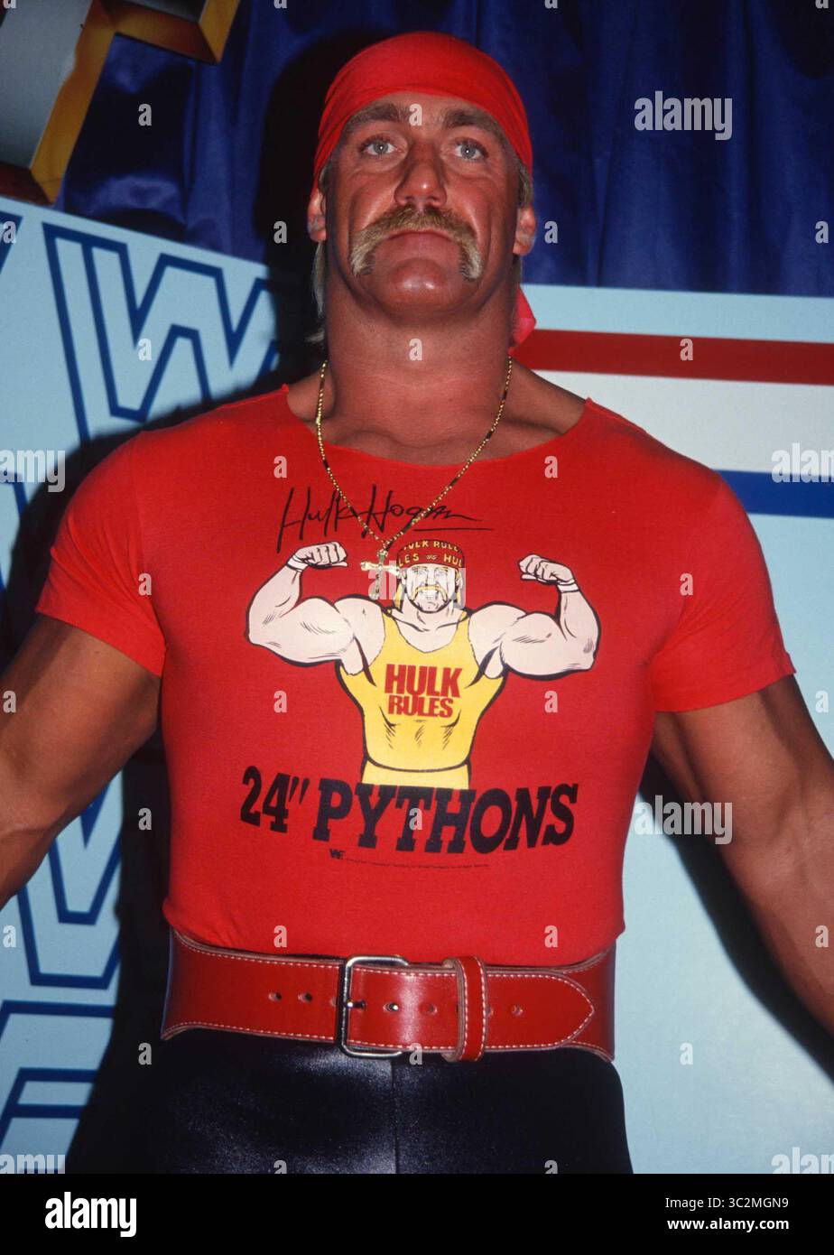 Hulk Hogan ist gestorben. 1990 Hulk Hogan Foto von John Barrett/PHOTOlink/MediaPunch Stockfoto