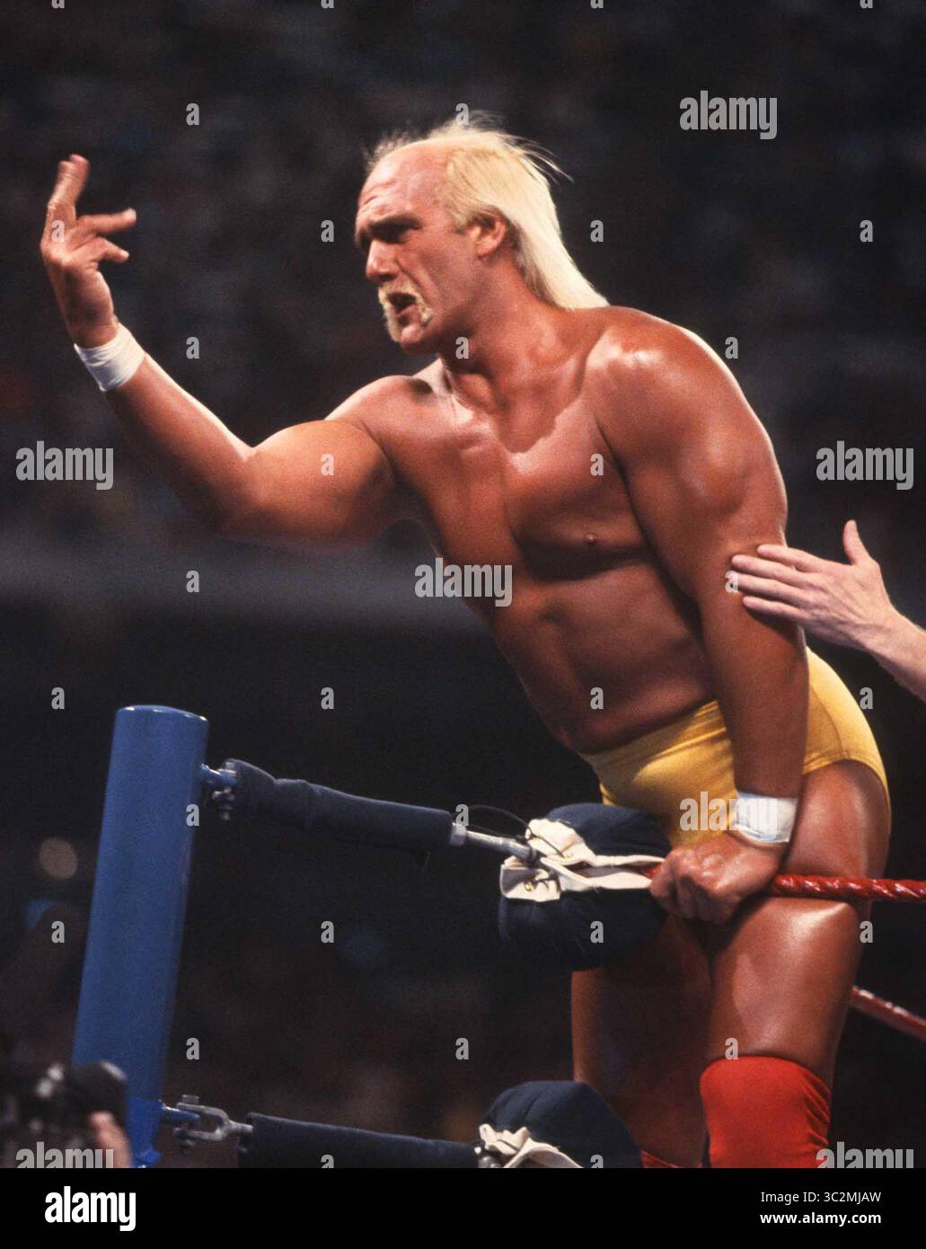 Hulk Hogan ist gestorben. 1989 Hulk Hogan Foto von John Barrett/PHOTOlink/MediaPunch Stockfoto