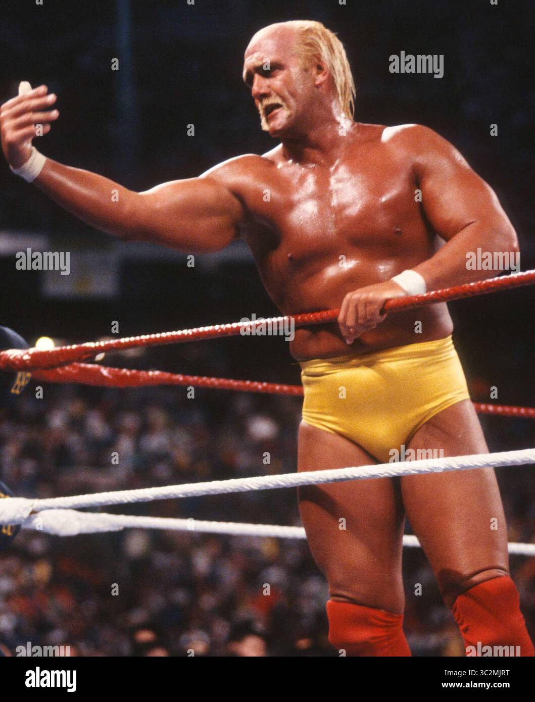 Hulk Hogan ist gestorben. 1989 Hulk Hogan Foto von John Barrett/PHOTOlink/MediaPunch Stockfoto