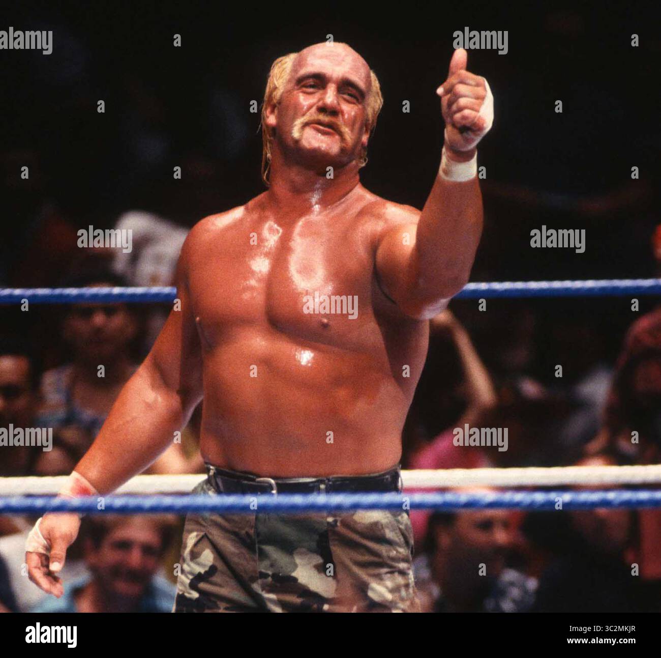 Hulk Hogan ist gestorben. 1990 Hulk Hogan Foto von John Barrett/PHOTOlink/MediaPunch Stockfoto