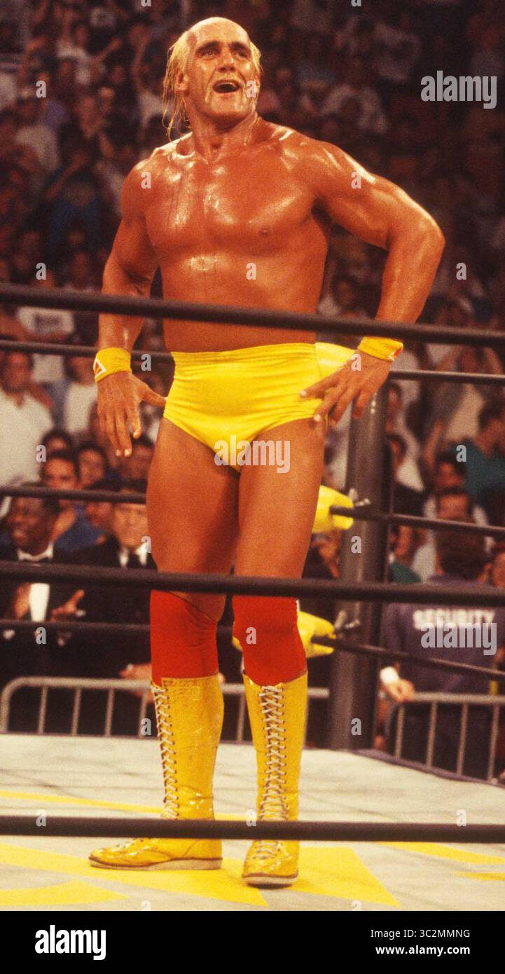 Hulk Hogan ist gestorben. 1994 Hulk Hogan Foto von John Barrett/PHOTOlink/MediaPunch Stockfoto