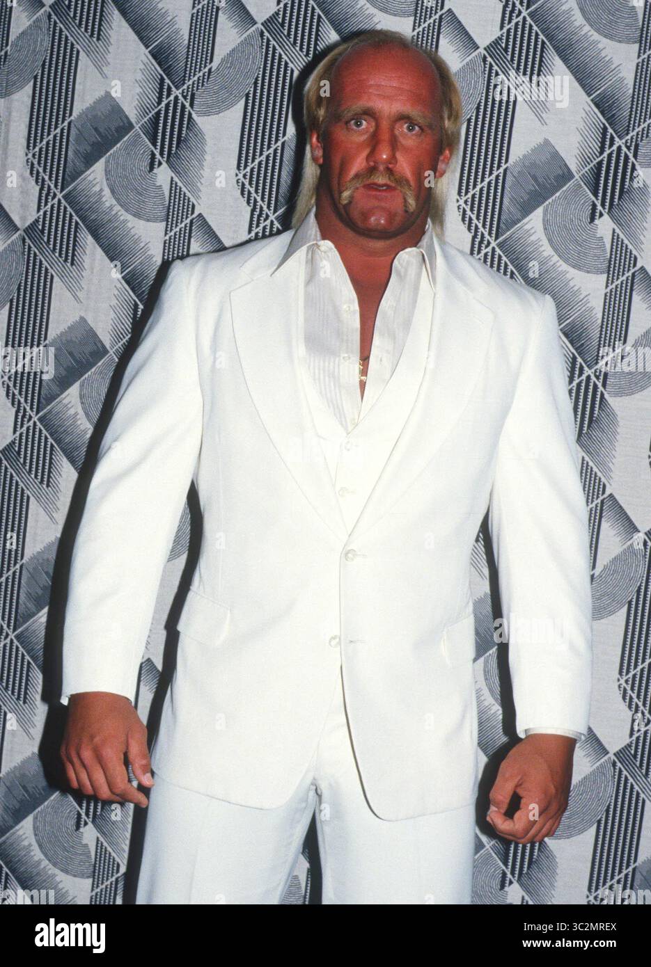 Hulk Hogan ist gestorben. 1990 Hulk Hogan Foto von John Barrett/PHOTOlink/MediaPunch Stockfoto