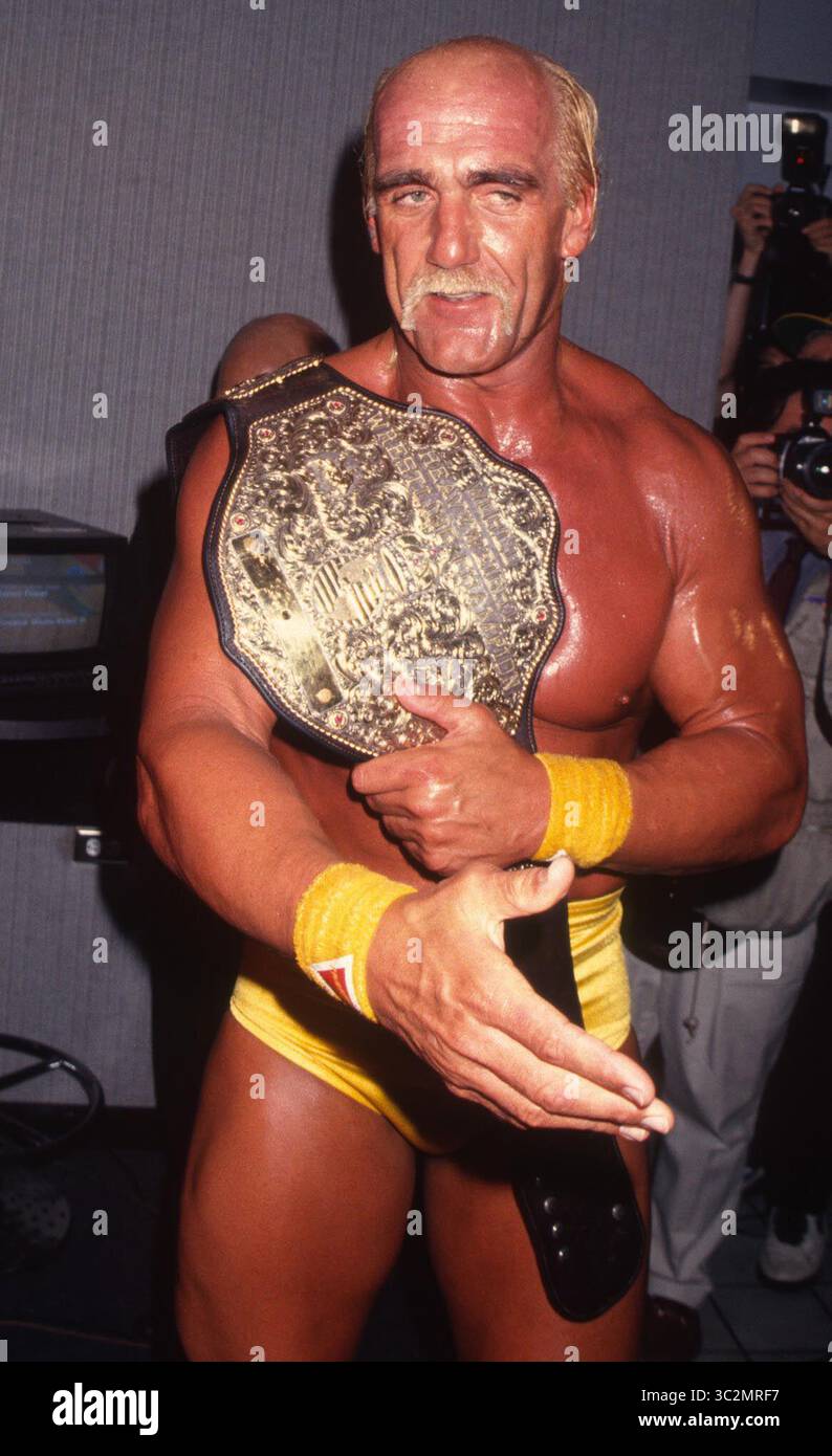 Hulk Hogan ist gestorben. 1994 Hulk Hogan Foto von John Barrett/PHOTOlink/MediaPunch Stockfoto