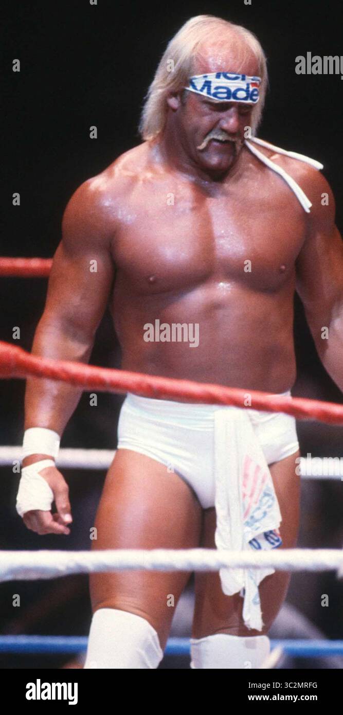 Hulk Hogan ist gestorben. 1987 Hulk Hogan Foto von John Barrett/PHOTOlink/MediaPunch Stockfoto