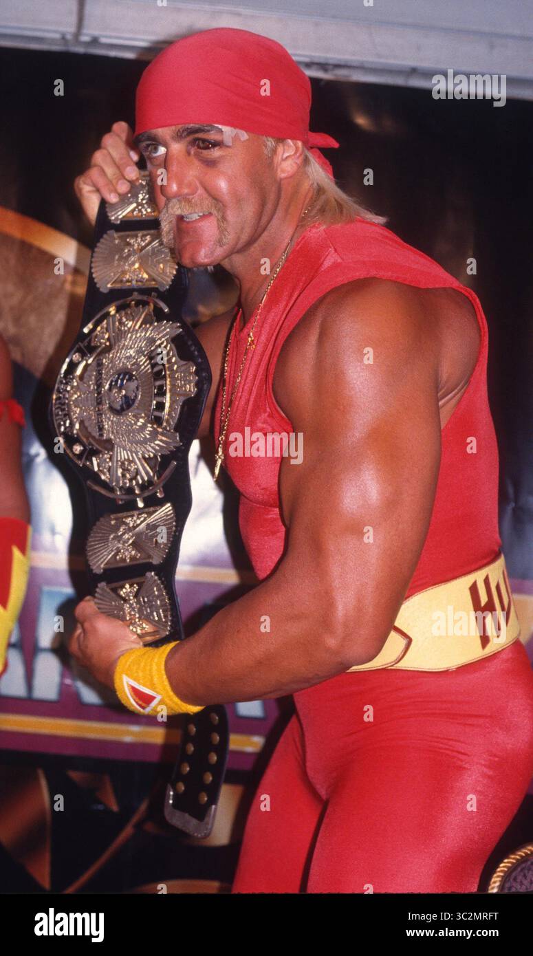 Hulk Hogan ist gestorben. 1993 Hulk Hogan Foto von John Barrett/PHOTOlink/MediaPunch Stockfoto