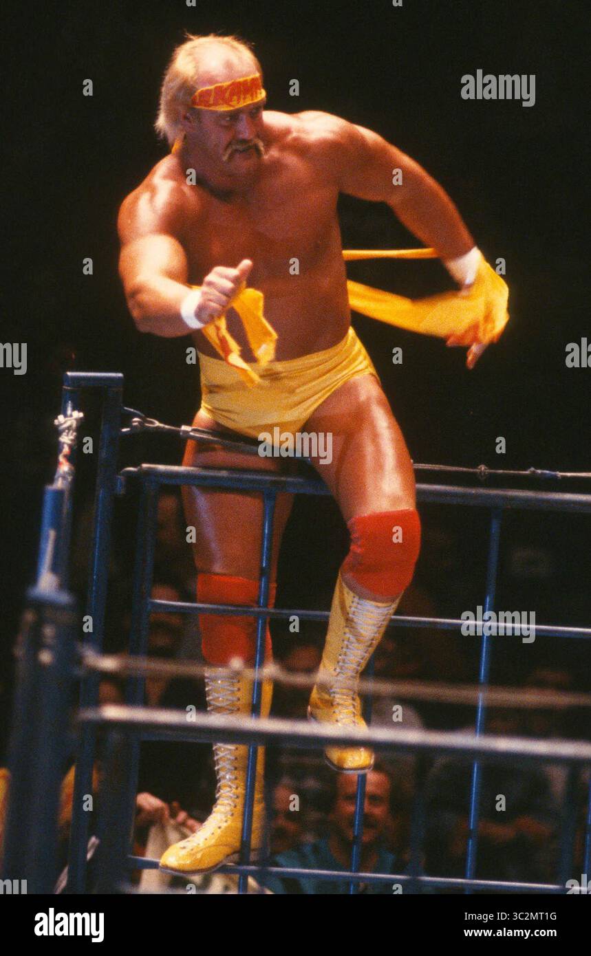Hulk Hogan ist gestorben. 1989 Hulk Hogan Foto von John Barrett/PHOTOlink/MediaPunch Stockfoto