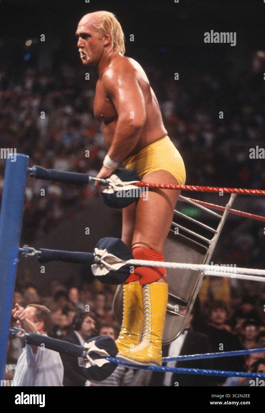 Hulk Hogan ist gestorben. 1989 Hulk Hogan Foto von John Barrett/PHOTOlink/MediaPunch Stockfoto