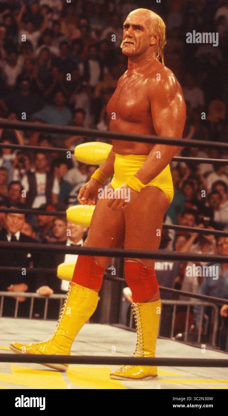 Hulk Hogan ist gestorben. 1994 Hulk Hogan Foto von John Barrett/PHOTOlink/MediaPunch Stockfoto