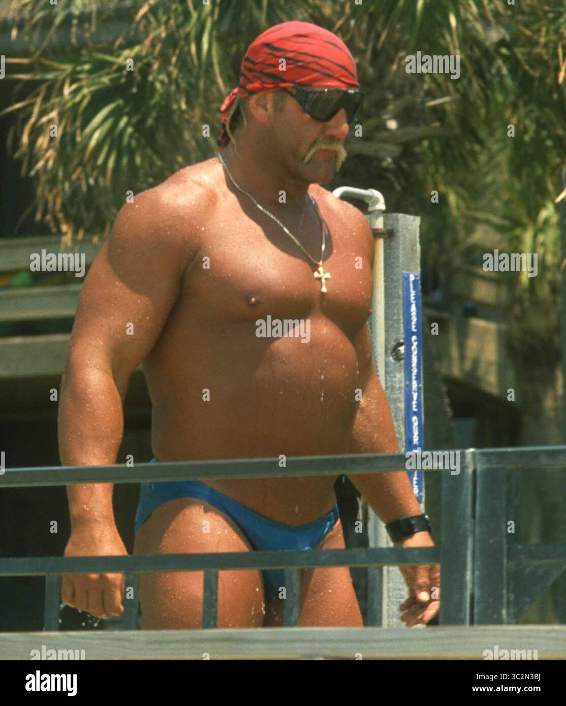 Hulk Hogan ist gestorben. 1987 Hulk Hogan Foto von John Barrett/PHOTOlink/MediaPunch Stockfoto