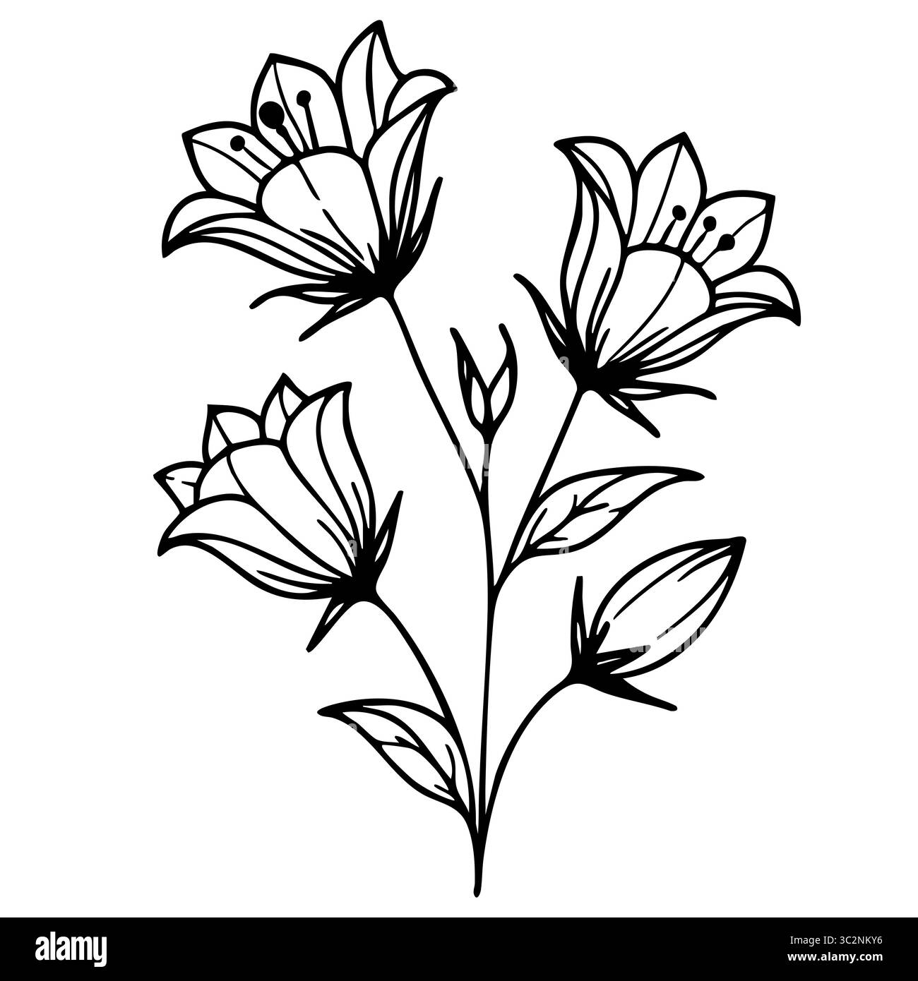 Eine einfache Vektorzeichnung von drei Glockenblumen mit Blättern, die ihre zarten Blüten und Stiele zeigen. Stock Vektor