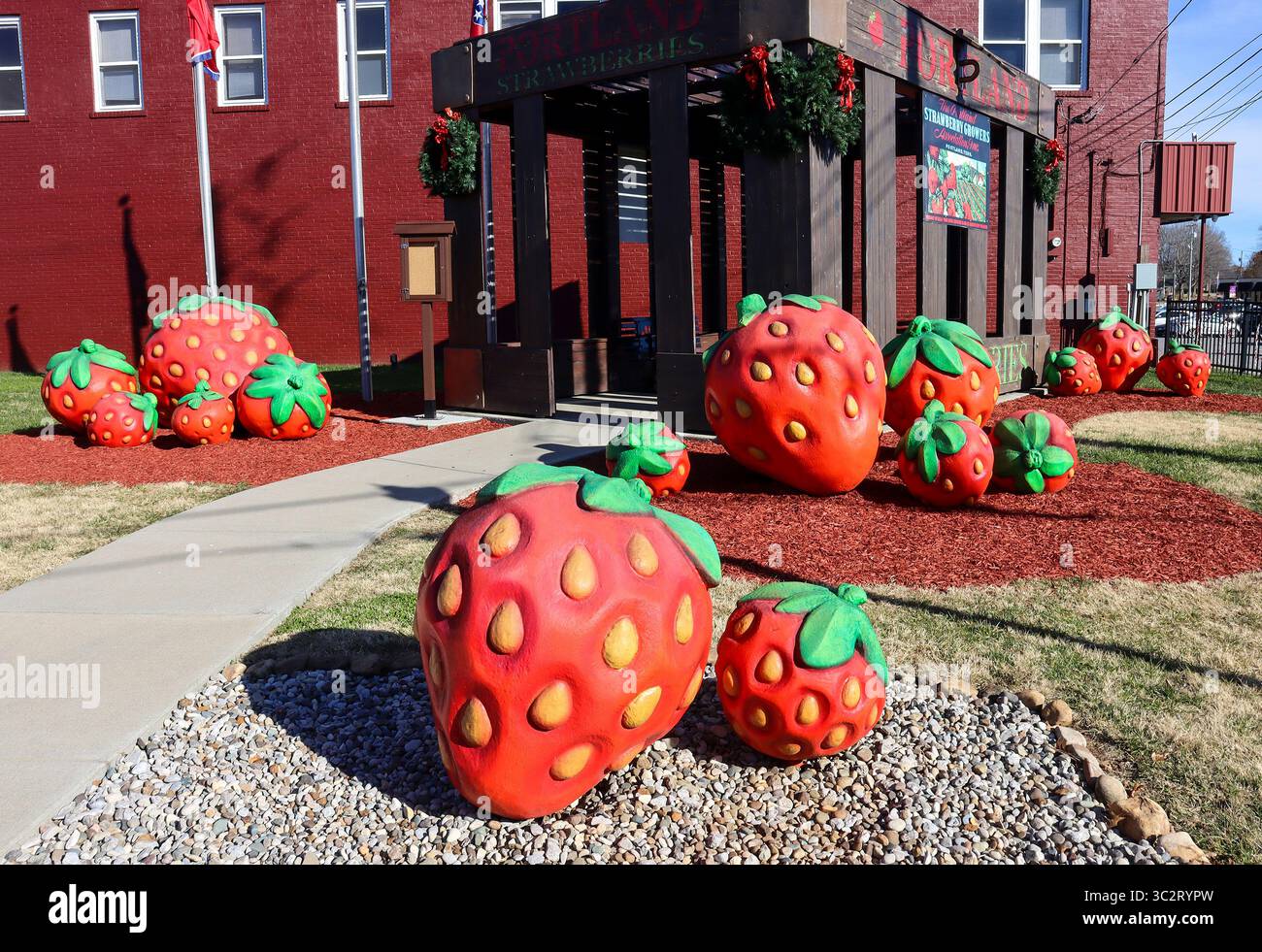 In Portland, TN, fließen riesige Erdbeeren aus einer riesigen Kiste vor einem Stadtgebäude – ein toller Spaß am Straßenrand auf dem Highway 109! Stockfoto