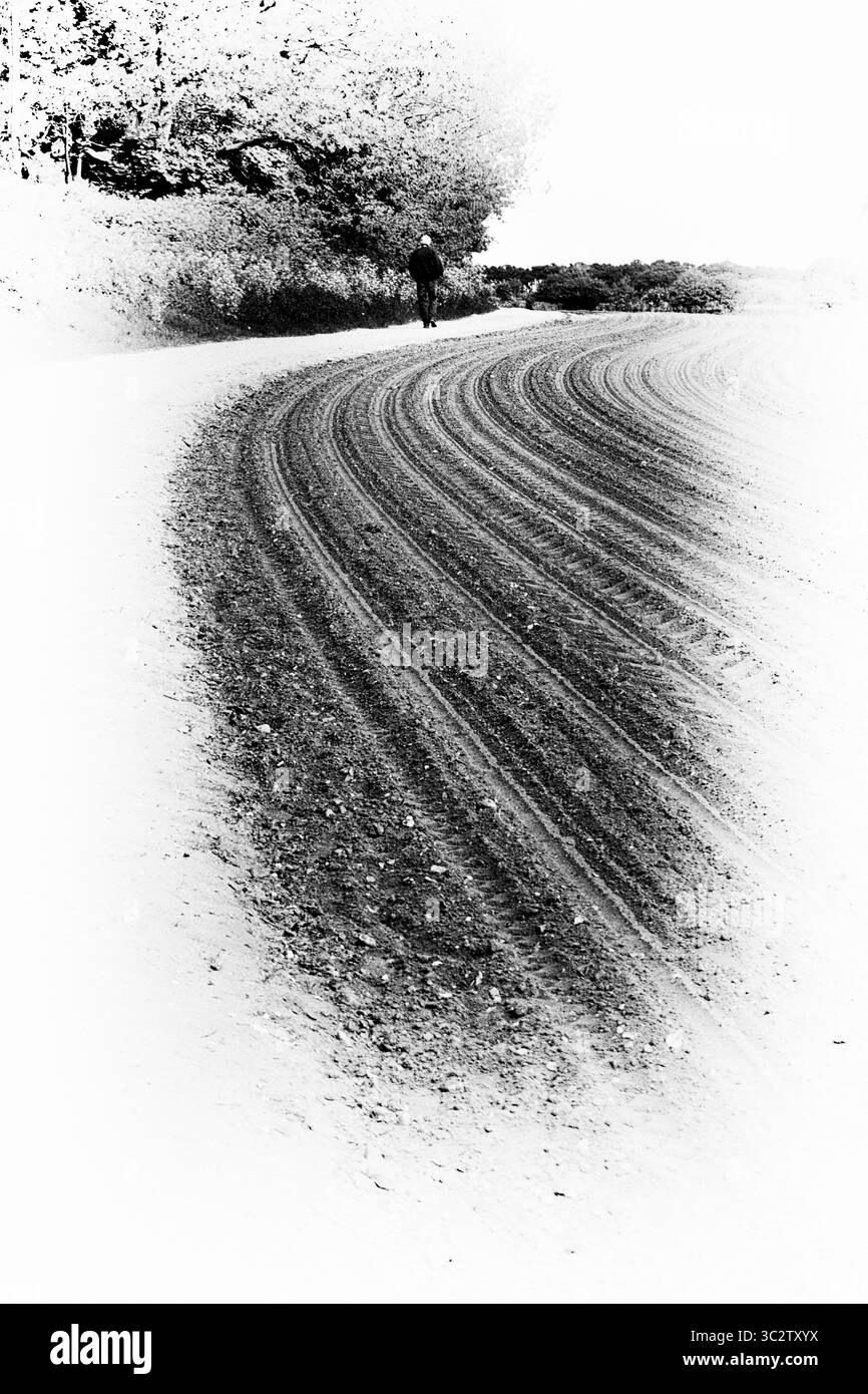 Ein einsamer Mann, der am Rande eines verheerten Feldes entlang läuft Stockfoto