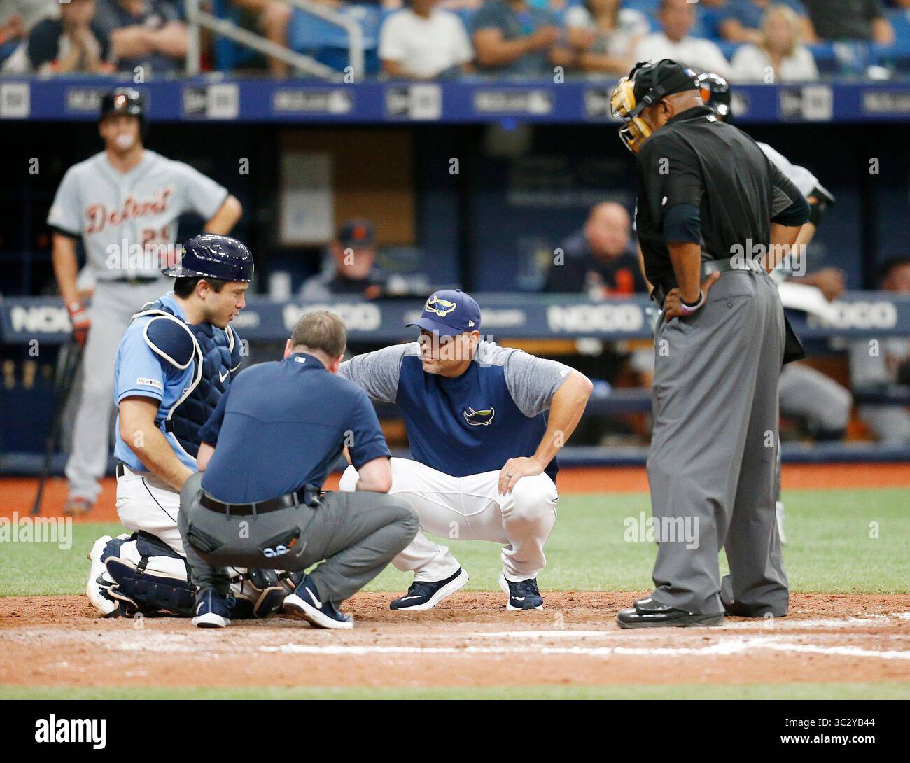 August 18, 2019, St. Petersburg, Florida, USA: Tampa Bay Rays manager Kevin Cash (16) und ein Mitarbeiter prüfen auf Tampa Bay Rays catcher Travis d'Arnaud (37), nachdem er durch einen Stellplatz im neunten Inning schlug im Tropicana Field in St. Petersburg, Florida am Sonntag, 18. August 2019. (Bild: © octavio Jones | Zeiten/Tampa Bay Zeiten über ZUMA Draht) Stockfoto