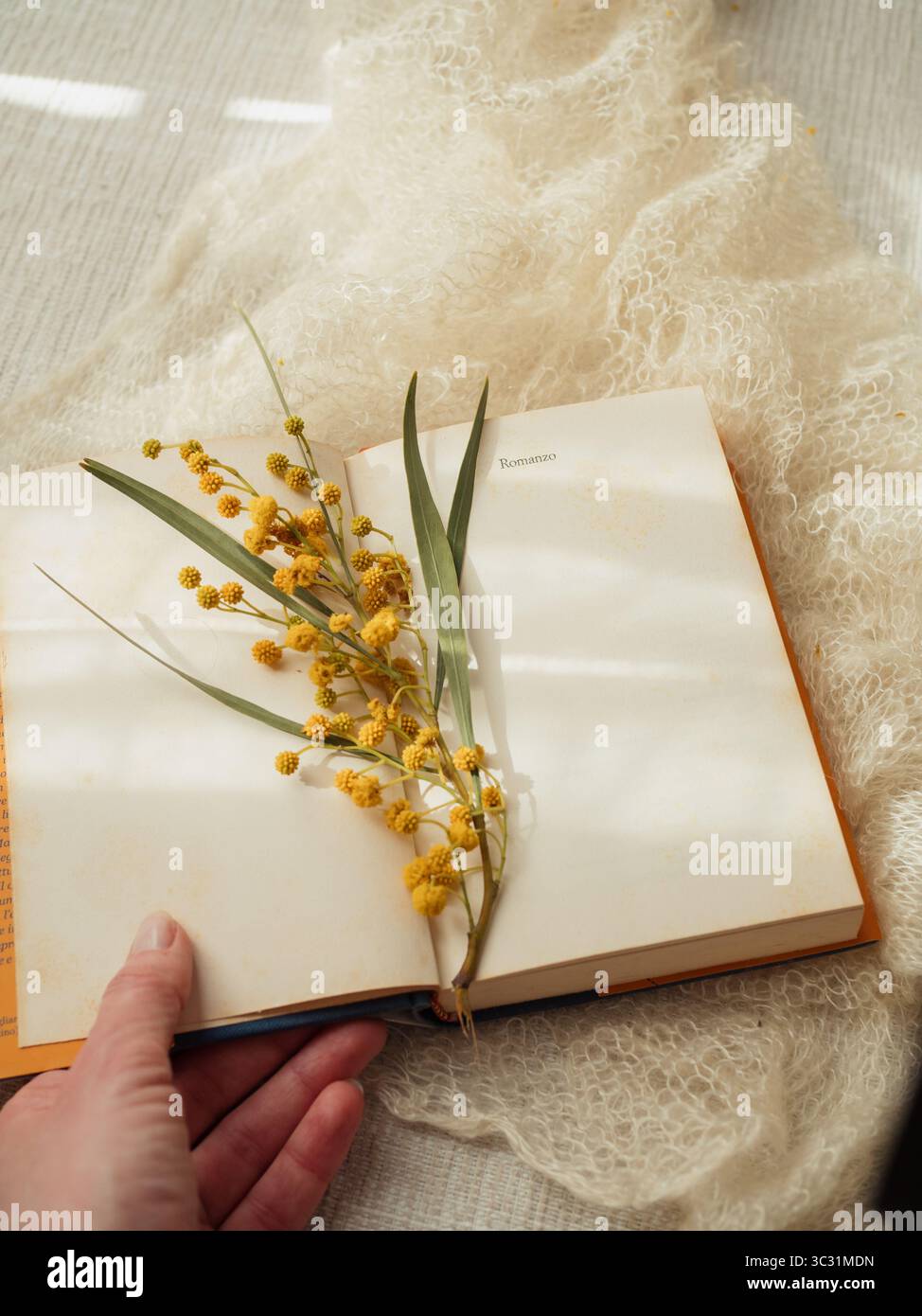 Hand hält offenes italienisches Buch mit „Romanzo“-Seite und Mimosa-Zweig auf weißem Kaschmirschal Stockfoto