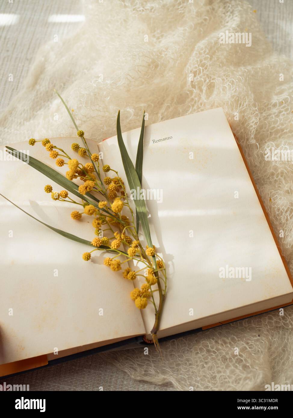 Italienisches Buch mit „Romanzo“-Seite und Mimosa-Zweig auf weißem Kaschmirschal Stockfoto