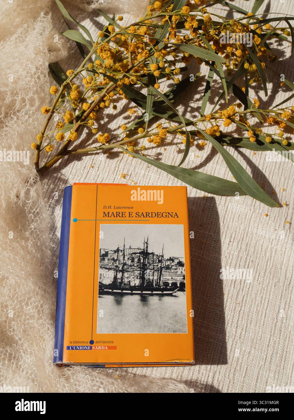 Italienische Ausgabe des Romans „Meer und Sardinien“ („Mare e Sardegna“) von D.H. Lawrence mit Mimosa auf weißem Kaschmirschal – vertikale Nahaufnahme, Olbia, Sardin Stockfoto