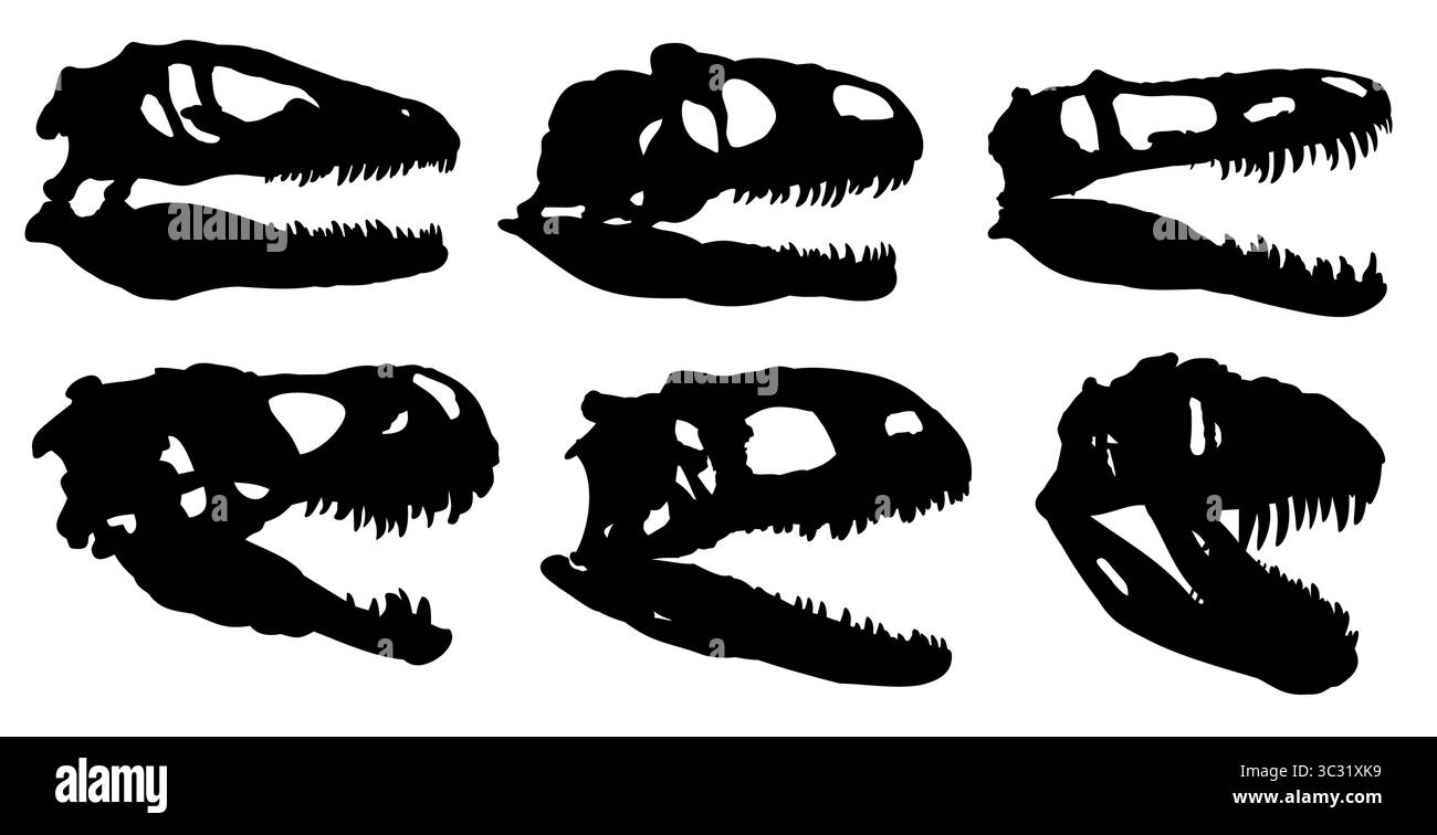 Eine Reihe von Schädeln von antiken Dinosauriern. Stock Vektor