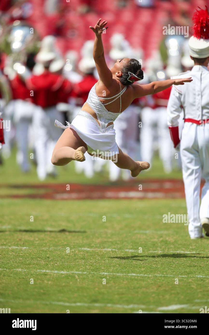 31. August 2019: Arkansas Majorette macht einen Sprung, als die Band das Feld erobert. Arkansas besiegte Portland State 20-13 in Fayetteville, AR, Richey Miller/CSM (Credit Image: &Copy; Richey Miller/CSM via ZUMA Wire) Stockfoto