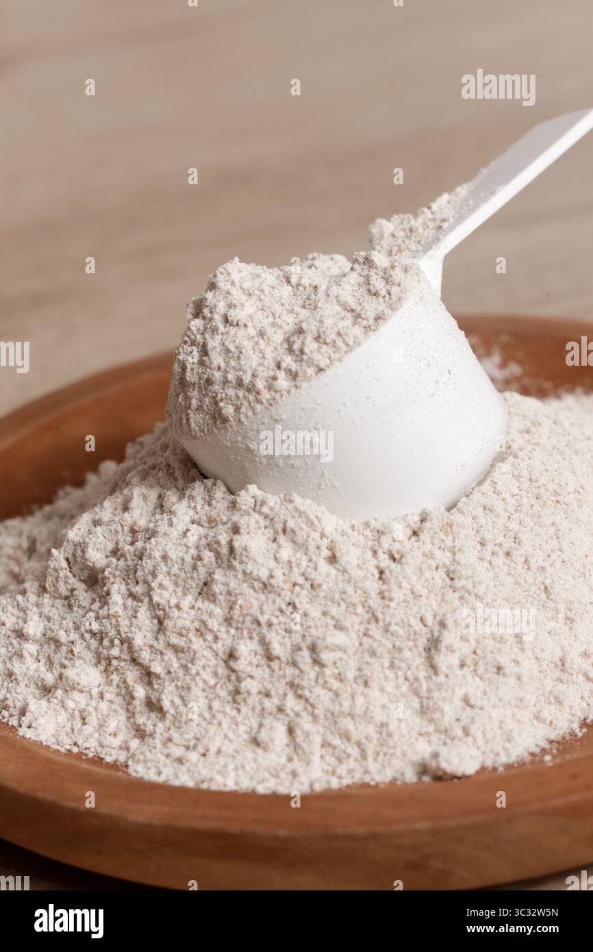 Plastik-Messlöffel mit Proteinpulver Stockfoto