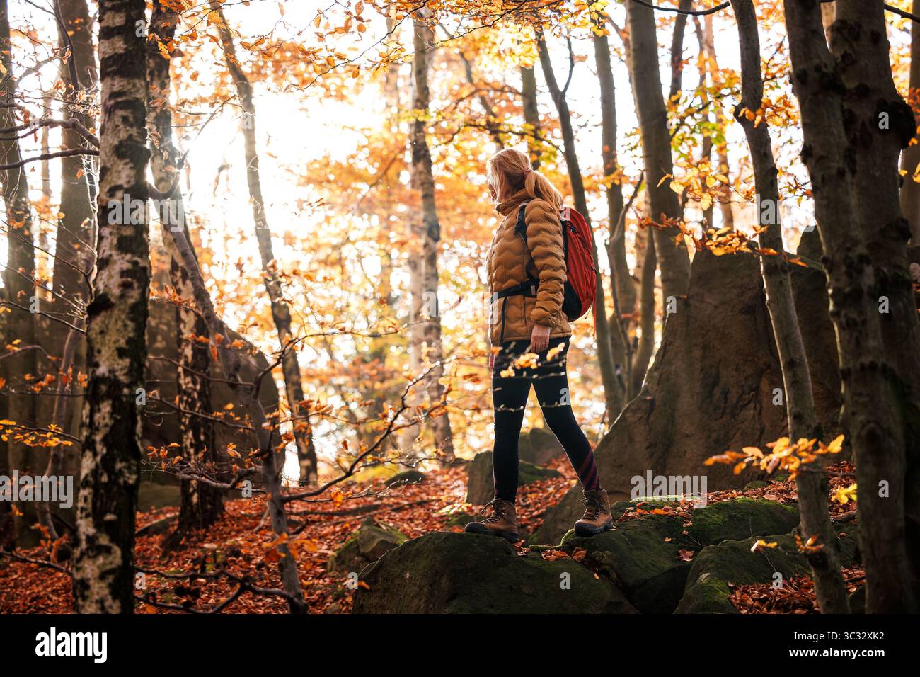 Frau wandert im Herbstwald am sonnigen Tag. Weibliche Wanderer, die die Natur erkunden. Outdoor-Abenteuer Stockfoto