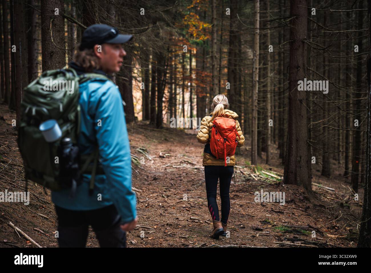 Wandergruppe mit Outdoor-Ausrüstung und Sportbekleidung, die durch den dunklen Wald spazieren Stockfoto