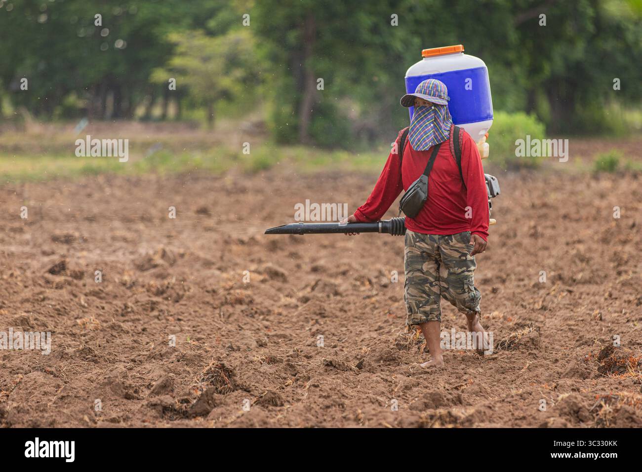 Stärkung der thailändischen Bauern durch moderne Reissättung Stockfoto