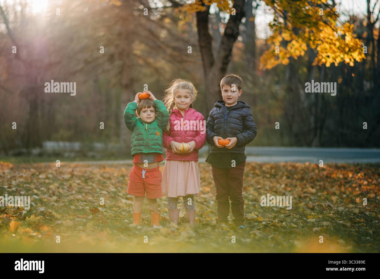 Kinder, die kleine Kürbisse halten, genießen die Herbstsaison in einem Park Stockfoto