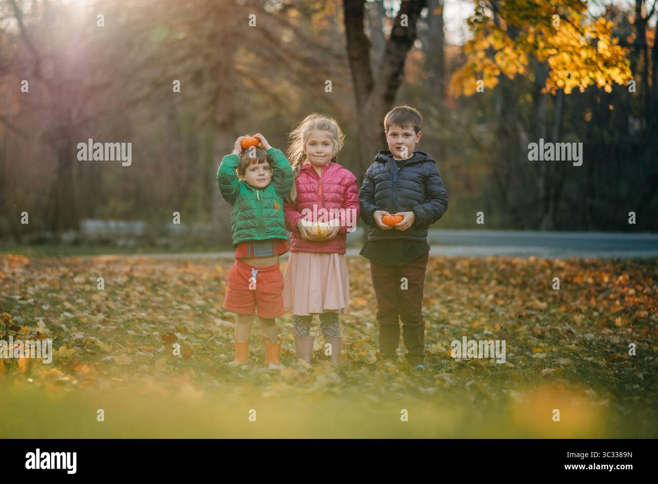 Kinder halten kleine Kürbisse im Herbstpark bei Sonnenuntergang Stockfoto