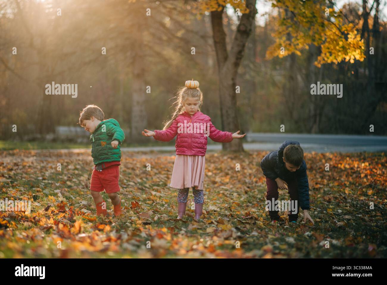 Kinder, die im Herbst spielen, verlassen bei Sonnenuntergang in einem Park Stockfoto