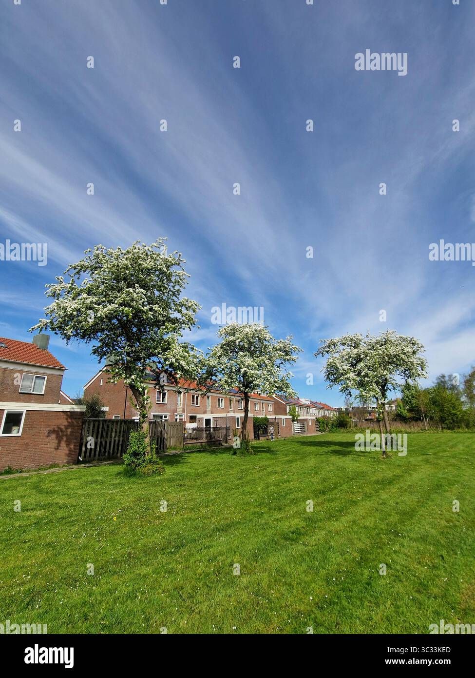 Schöner Tag in Purmerend, Niederlande – malerische Stadt in der Nähe von Amsterdam mit niederländischem Charme und klarem blauem Himmel Stockfoto