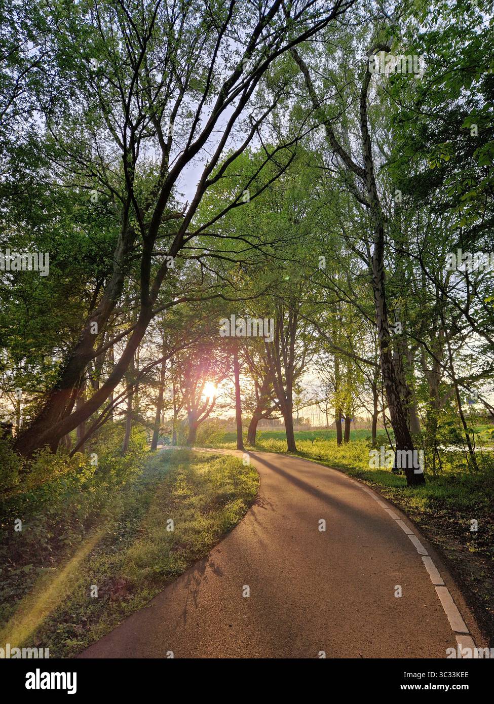 Schöner Tag in Purmerend, Niederlande – malerische Stadt in der Nähe von Amsterdam mit niederländischem Charme und klarem blauem Himmel Stockfoto