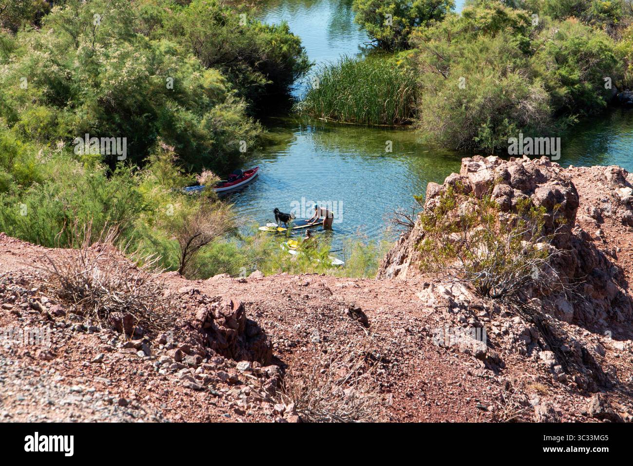 Emerald Cove, Arizona, USA - 8. Juni 2025: Eine Frau und ihr Hund aus der Vogelperspektive genießen Kajaktouren im ruhigen Wasser, umgeben von der Natur in Arizona. Stockfoto