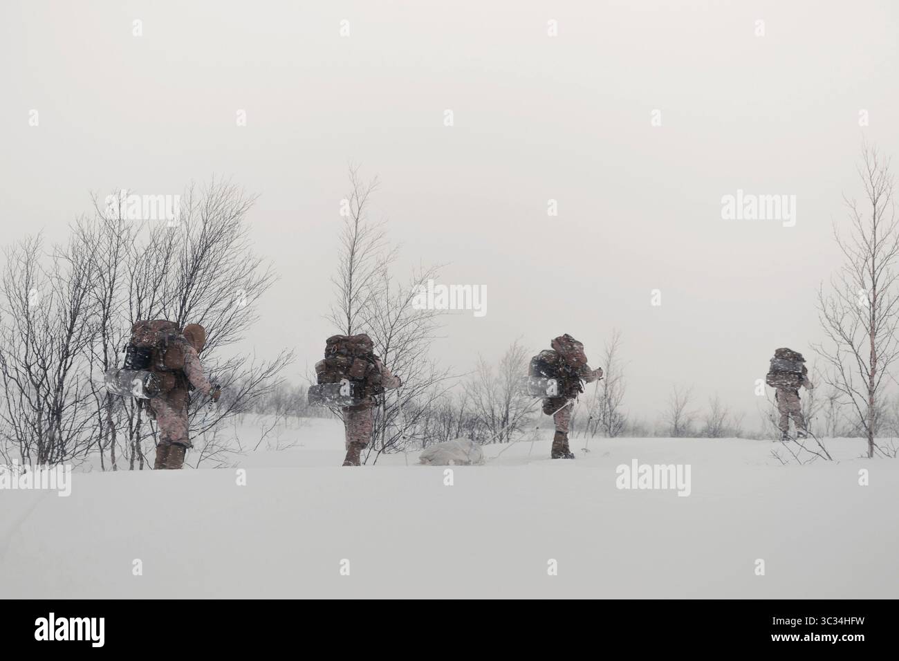 4. März 2021: Altebatgn, (Null), Norwegen – U.S. Marines mit Marine Rotational Force Europe 21,1 (MRF-E), Marine Forces Europe and Africa, Skifahren im Wintergelände im Rahmen des Unit Mobility Trainings in Altebatgn, Norwegen, 4. März 2021. MRF-E konzentriert sich auf regionale Einsätze in ganz Europa, indem verschiedene Übungen durchgeführt werden, Training für arktische Kälte und Gebirgskämpfe sowie Militär-Militär-Einsätze, die die Interoperabilität des US-Marine Corps mit Verbündeten und Partnern insgesamt verbessern. (Kreditbild: © U.S. Marines/ZUMA Wire/ZUMAPRESS.com) Stockfoto