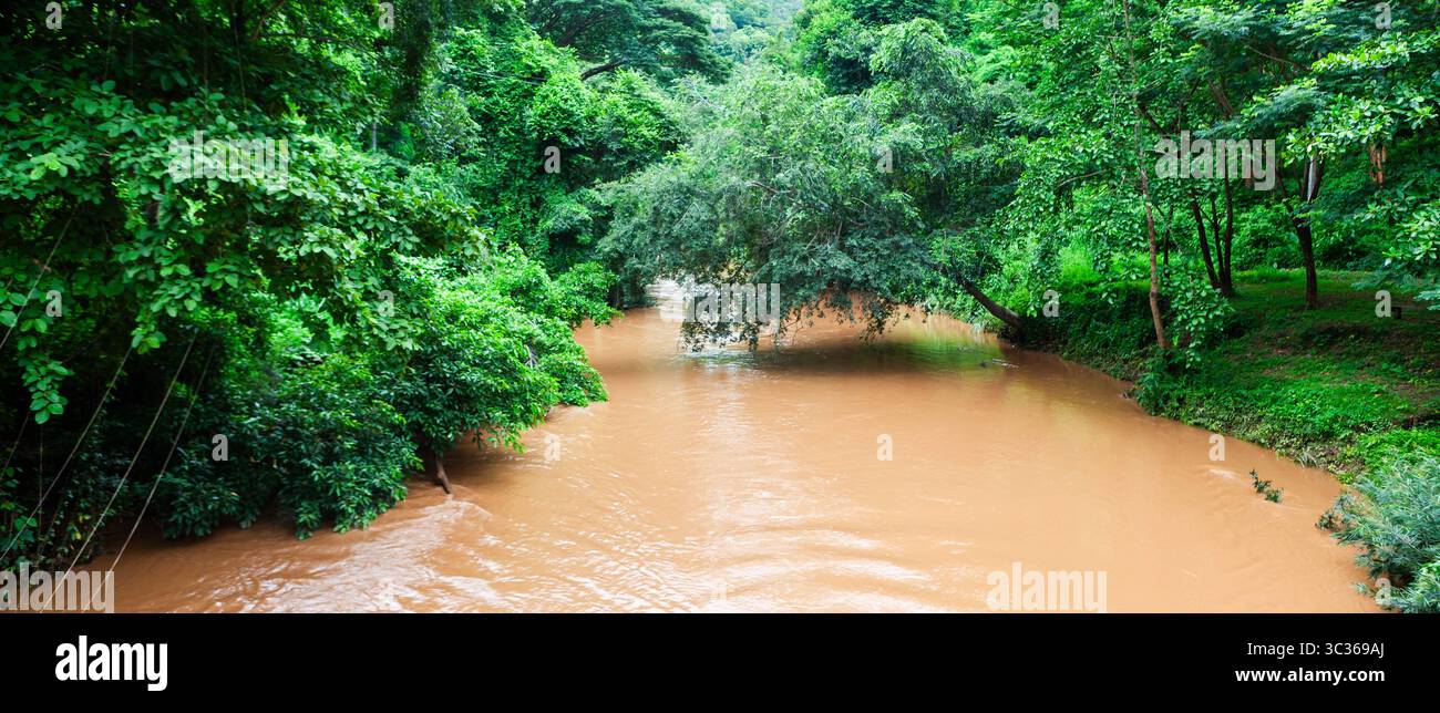 Der Brown Ping River in Thailand fließt durch den grünen Regenwald. Stockfoto