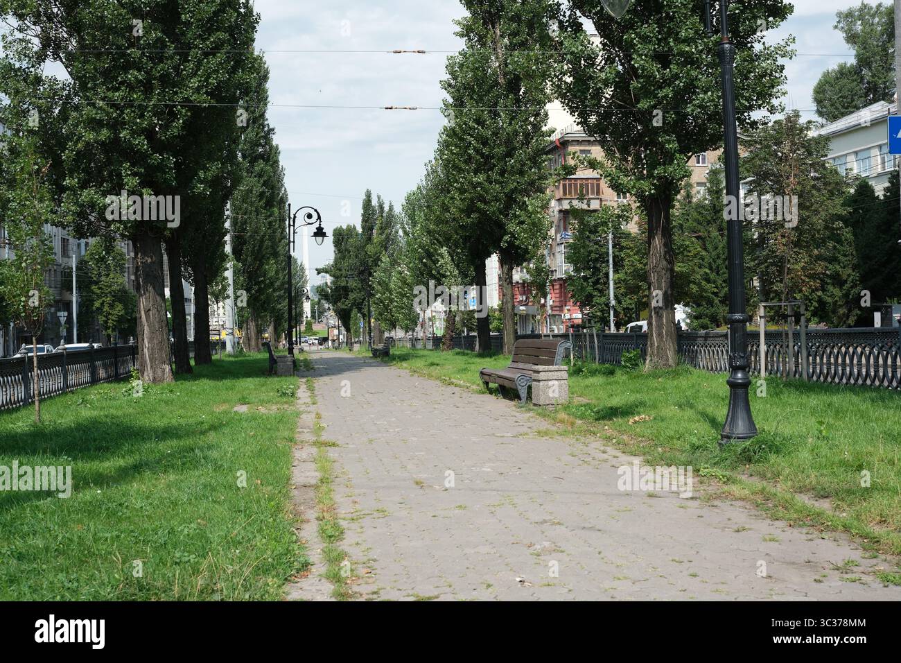 Lebhafte Straße in Kiew mit einladenden Pfaden, grünen Bäumen und friedlicher Atmosphäre. Stockfoto